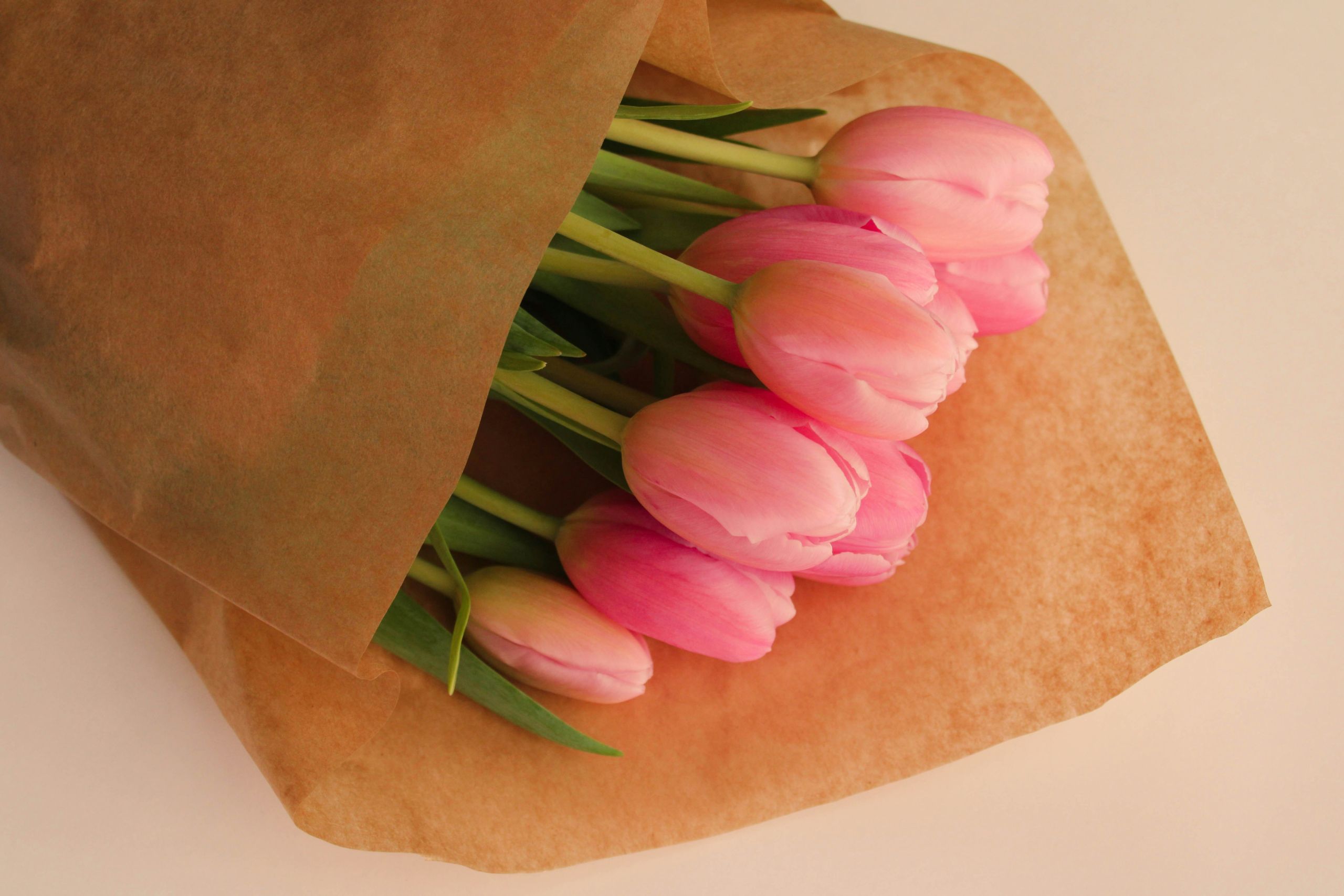 Pink Tulips in Kraft Paper